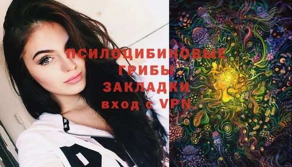 сатива Алексеевка
