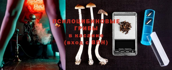 сатива Алексеевка