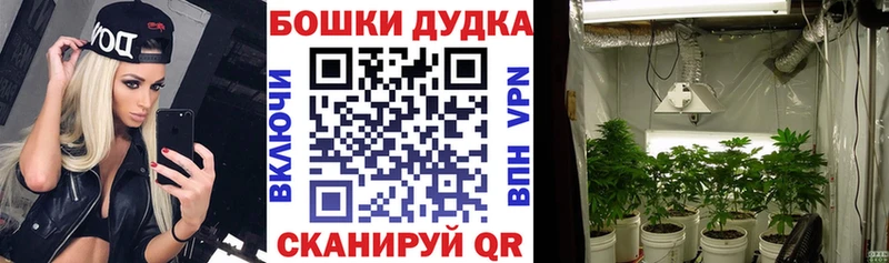 МАРИХУАНА SATIVA & INDICA  купить  цена  Кочубеевское 